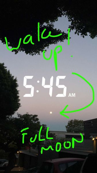 snapchatroian-0267.jpg