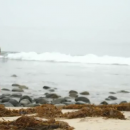 Filename=IMG_00287~0.png
Filesize=159KiB
Dimensions=526x360
Date added=Jan 25, 2019 IMG_00287~0.png