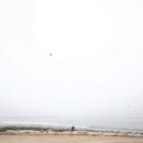 IMG_00299~1.png