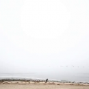 IMG_00300~1.png