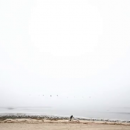 IMG_00301~1.png