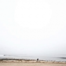 IMG_00302~0.png