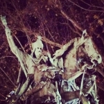 InstagramTroian-001152.jpg