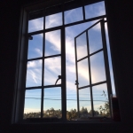 InstagramTroian-001186.jpg