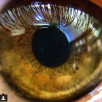 InstagramTroian-001268.jpg