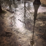 InstagramTroian-001331.jpg