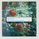 InstagramTroian-001463.jpg