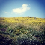 InstagramTroian-00172.jpg