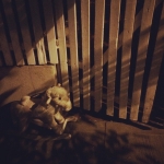 Filename=InstagramTroian-001750.jpg
Filesize=91KiB
Dimensions=640x640
Date added=Sep 22, 2014 InstagramTroian-001750.jpg