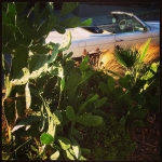 Filename=InstagramTroian-001762.jpg
Filesize=154KiB
Dimensions=640x640
Date added=Oct 04, 2014 InstagramTroian-001762.jpg