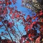 Filename=InstagramTroian-001773.jpg
Filesize=213KiB
Dimensions=640x640
Date added=Oct 08, 2014 InstagramTroian-001773.jpg