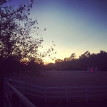 Filename=InstagramTroian-001775.jpg
Filesize=115KiB
Dimensions=640x640
Date added=Oct 08, 2014 InstagramTroian-001775.jpg
