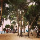 InstagramTroian-001929.jpg