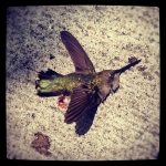 InstagramTroian-00202.jpg