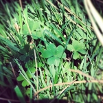 InstagramTroian-00204.jpg