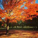 Filename=InstagramTroian-002478.jpg
Filesize=147KiB
Dimensions=640x640
Date added=Oct 16, 2015 InstagramTroian-002478.jpg