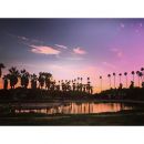 InstagramTroian-002517.jpg