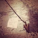 Filename=InstagramTroian-002556.jpg
Filesize=103KiB
Dimensions=640x640
Date added=Nov 23, 2015 InstagramTroian-002556.jpg