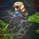 Filename=InstagramTroian-002722.jpg
Filesize=65KiB
Dimensions=640x640
Date added=Feb 09, 2016 InstagramTroian-002722.jpg