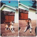 InstagramTroian-002754.jpg