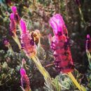 Filename=InstagramTroian-002768.jpg
Filesize=78KiB
Dimensions=640x640
Date added=Mar 11, 2016 InstagramTroian-002768.jpg