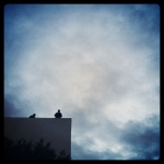 InstagramTroian-0029.jpg