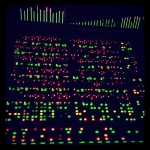 InstagramTroian-00294.jpg
