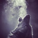 Filename=InstagramTroian-002980.jpg
Filesize=57KiB
Dimensions=640x799
Date added=Jul 14, 2016 InstagramTroian-002980.jpg