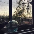 Filename=InstagramTroian-003202.jpg
Filesize=94KiB
Dimensions=640x640
Date added=Nov 02, 2016 InstagramTroian-003202.jpg