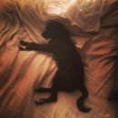 InstagramTroian-003248.jpg