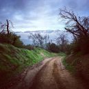 Filename=InstagramTroian-003339.jpg
Filesize=104KiB
Dimensions=640x640
Date added=Feb 23, 2017 InstagramTroian-003339.jpg