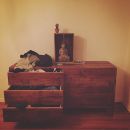 Filename=InstagramTroian-003355.jpg
Filesize=38KiB
Dimensions=640x640
Date added=Feb 23, 2017 InstagramTroian-003355.jpg
