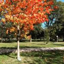 Filename=InstagramTroian-003618.jpg
Filesize=1806KiB
Dimensions=1080x810
Date added=Oct 31, 2017 InstagramTroian-003618.jpg
