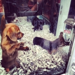 InstagramTroian-00373.jpg