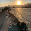 Filename=InstagramTroian-003911.jpg
Filesize=156KiB
Dimensions=1080x1350
Date added=Oct 08, 2018 InstagramTroian-003911.jpg