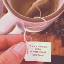 InstagramTroian-003913.jpg