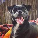 InstagramTroian-003970.jpg