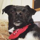 InstagramTroian-003972.jpg