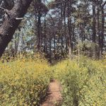 InstagramTroian-004010.jpg