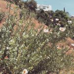 InstagramTroian-004011.jpg