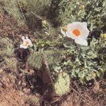 InstagramTroian-004012.jpg