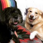 InstagramTroian-004017.jpg