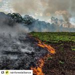 Filename=InstagramTroian-004046.jpg
Filesize=245KiB
Dimensions=1080x1080
Date added=Aug 22, 2019 InstagramTroian-004046.jpg