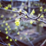 Filename=InstagramTroian-004107.jpg
Filesize=112KiB
Dimensions=1080x1045
Date added=Jan 10, 2021 InstagramTroian-004107.jpg