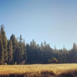 InstagramTroian-004191.jpg