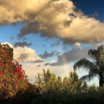InstagramTroian-004195.jpg
