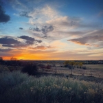 InstagramTroian-004239.jpg