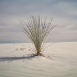 InstagramTroian-004243.jpg