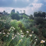 Filename=InstagramTroian-004321.jpg
Filesize=401KiB
Dimensions=1080x1350
Date added=Oct 05, 2022 InstagramTroian-004321.jpg