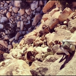Filename=InstagramTroian-00453.jpg
Filesize=189KiB
Dimensions=612x612
Date added=Jun 15, 2014 InstagramTroian-00453.jpg